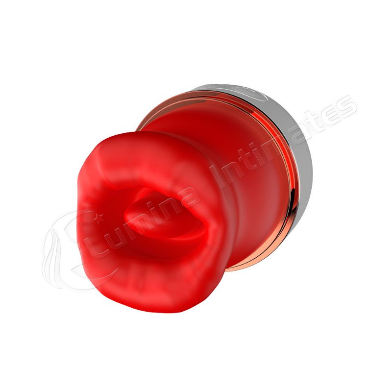 New Sucking and Licking Vibrator with 10 Powerful Vibration Modes